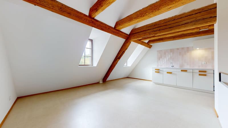 Ein Lebensentwurf am Rhein - Wohnen im historischen Toggenburgerhaus in Diessenhofen (2)