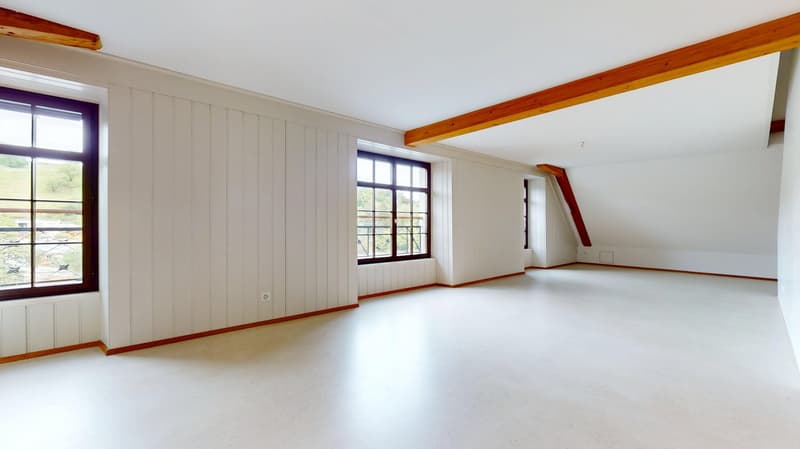 Ein Lebensentwurf am Rhein - Wohnen im historischen Toggenburgerhaus in Diessenhofen (2)