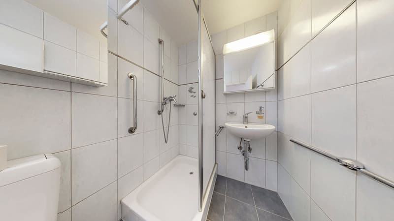 Sonnige 3.5-Zimmer-Wohnung mit zwei Balkonen in attraktiver Lage nahe Zürich (5)
