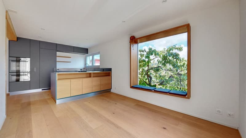 5.5-Zimmer-Einfamilienhaus mit Panorama, Garten und Charakter an begehrter Lage in Luzern (2)
