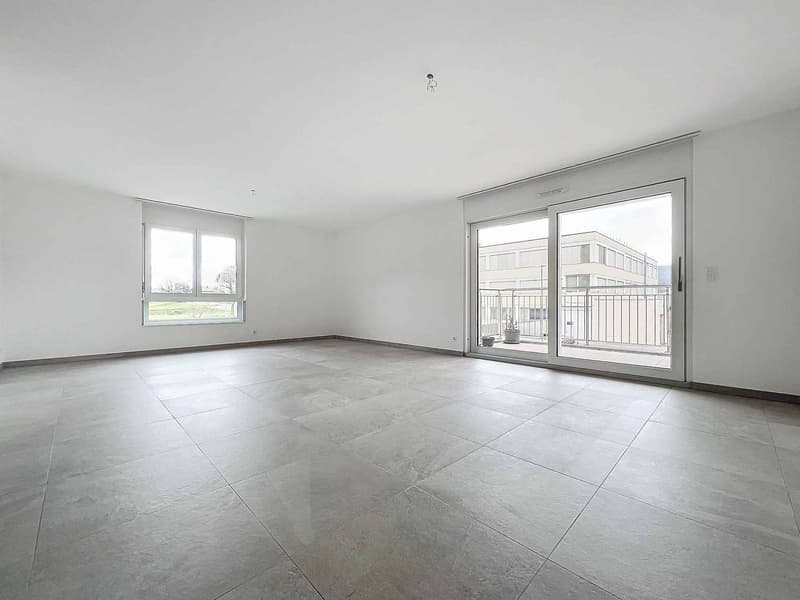 Appartement de 3,5 pièces moderne (2)
