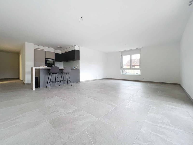 Appartement de 3,5 pièces moderne (3)