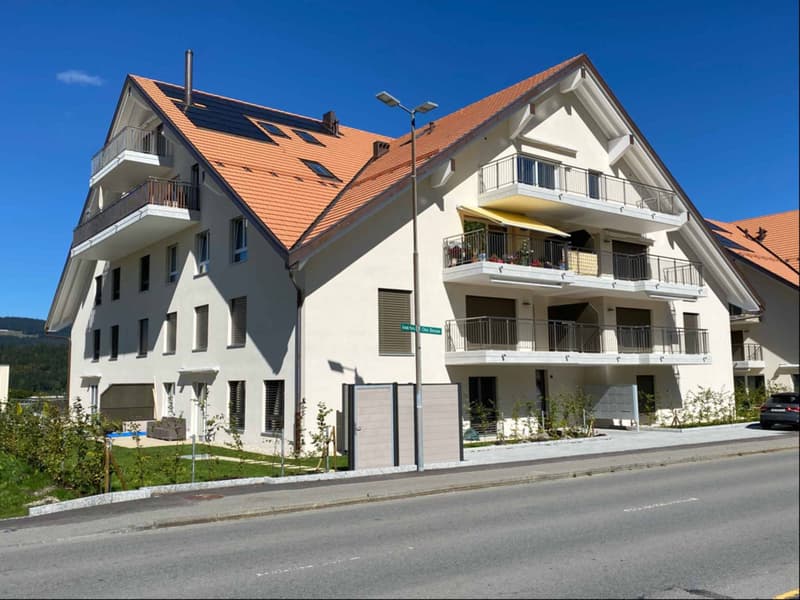 Appartement de 3,5 pièces moderne (10)