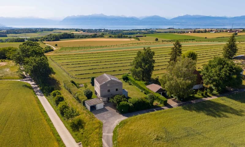 Belle maison avec vue lac et Mont-Blanc 4 chambres - Grand jardin (1)