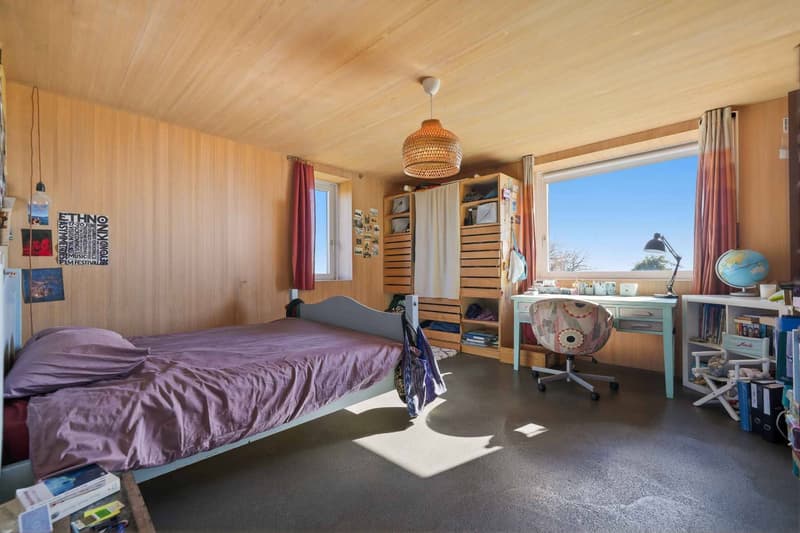 Belle maison avec vue lac et Mont-Blanc         4 chambres - Grand jardin (11)