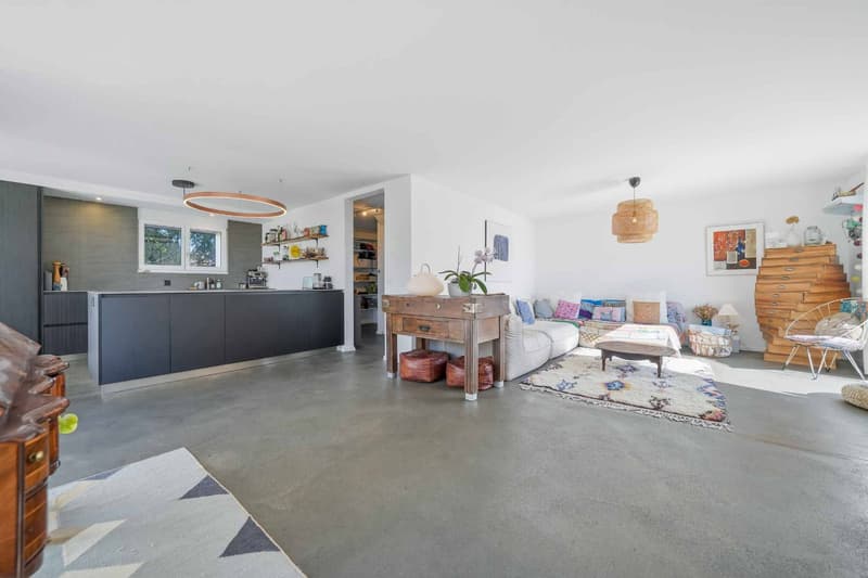 Belle maison avec vue lac et Mont-Blanc         4 chambres - Grand jardin (6)