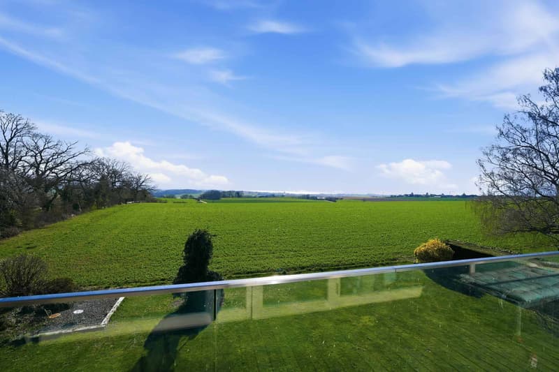 Belle maison avec vue lac et Mont-Blanc         4 chambres - Grand jardin (10)