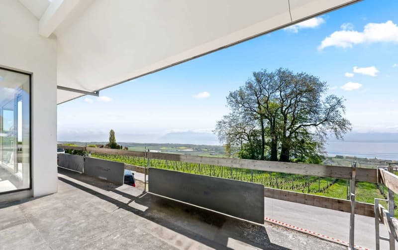 Villa neuve de standing avec vue panoramique sur le lac Léman (3)