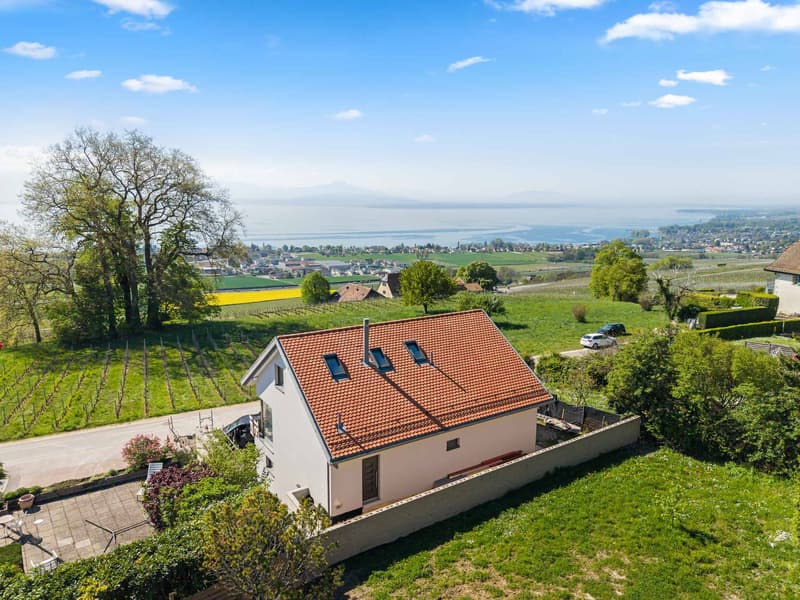 Villa neuve de standing avec vue panoramique sur le lac Léman (5)