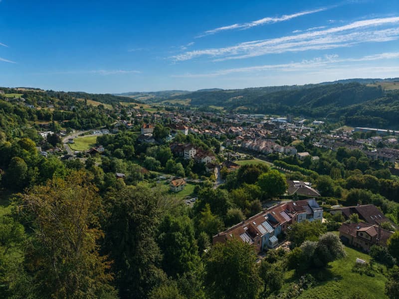 Villa mitoyenne de 5,5 pièces avec espace de jardin privatif de 200m2 (12)