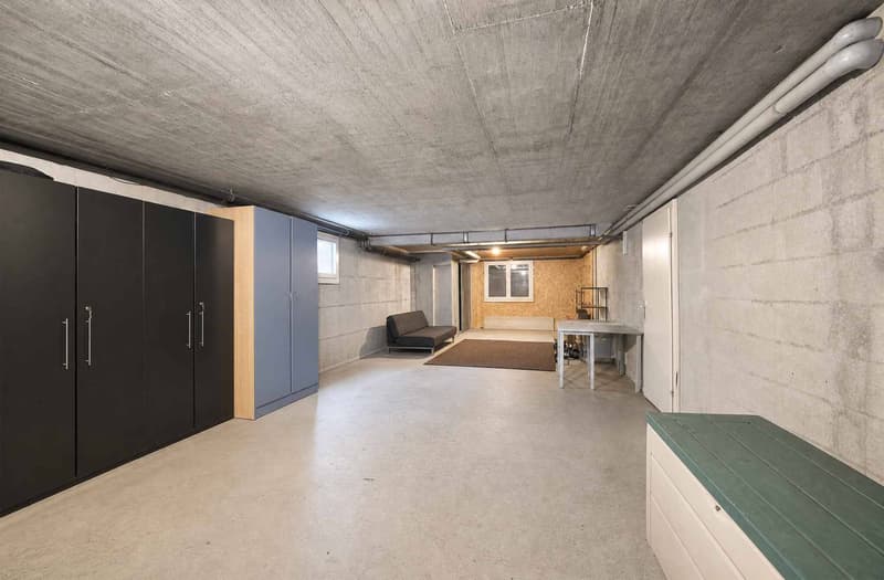Maison individuelle de 7.5 pièces Beau jardin avec piscine (13)