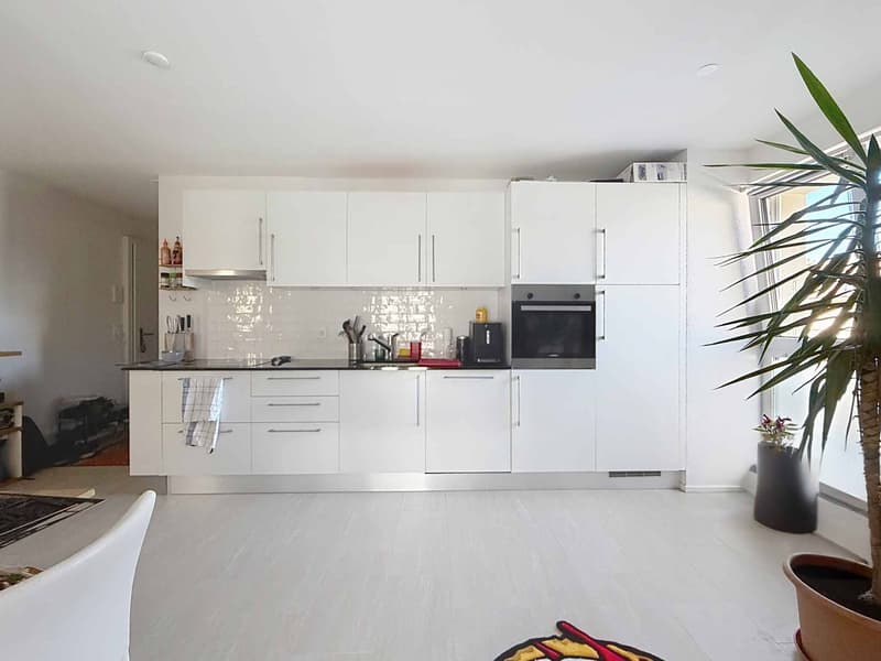Appartement de 2,5 pièces avec balcon et 2 places de parc (3)