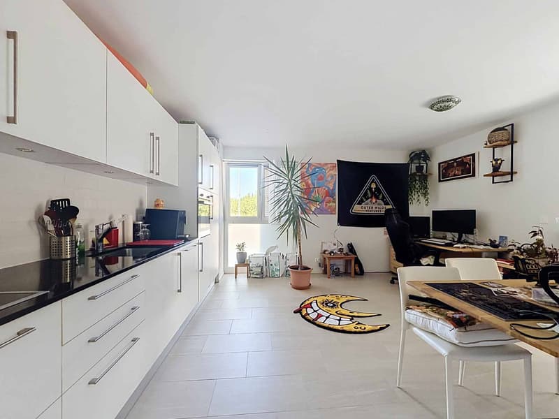 Appartement de 2,5 pièces avec balcon et 2 places de parc (5)