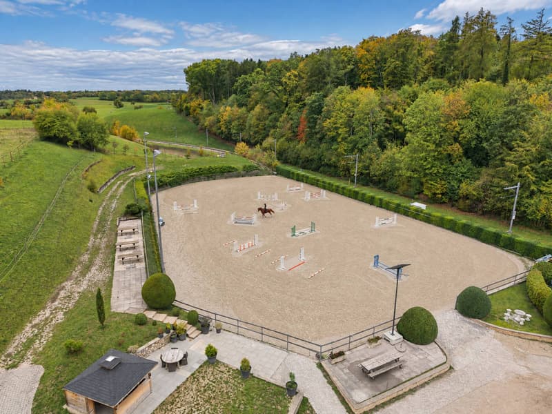 Domaine équestre d'exception avec infrastructures professionnelles (11)