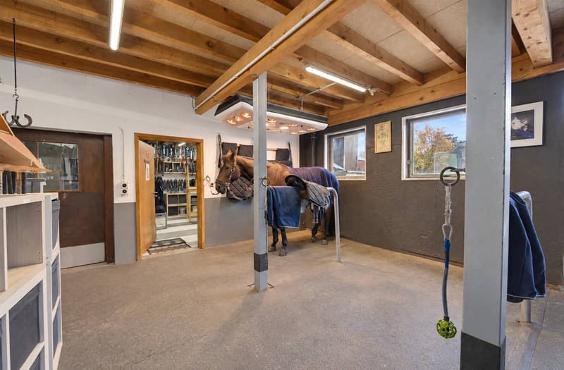 Domaine équestre d'exception avec infrastructures professionnelles (4)