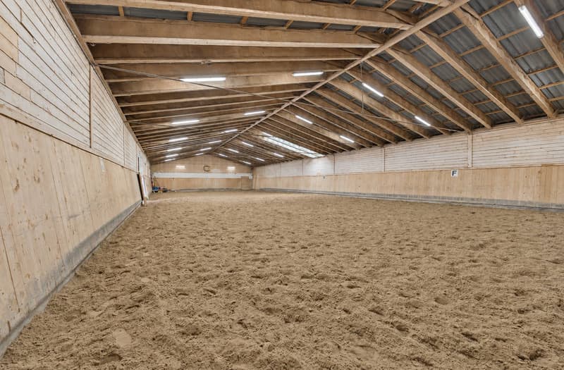 Domaine équestre d'exception avec infrastructures professionnelles (5)