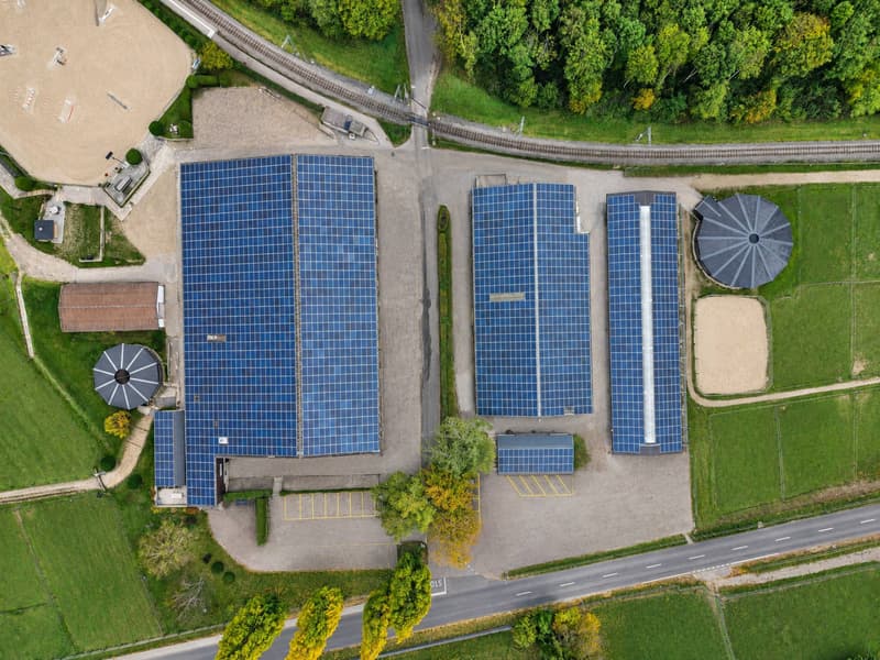 Domaine équestre d'exception avec infrastructures professionnelles (1)