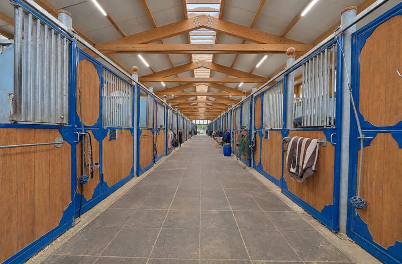 Domaine équestre d'exception avec infrastructures professionnelles (3)