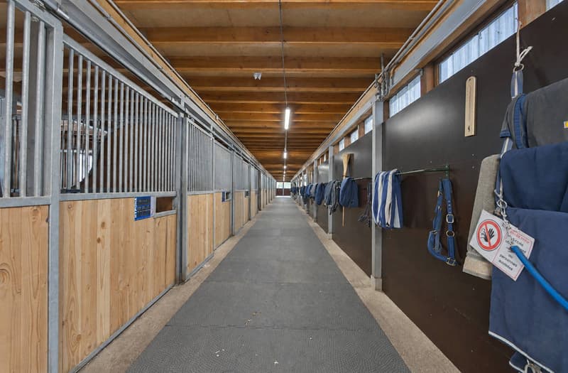 Domaine équestre d'exception avec infrastructures professionnelles (6)