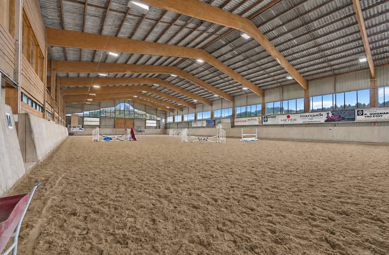 Domaine équestre d'exception avec infrastructures professionnelles (2)