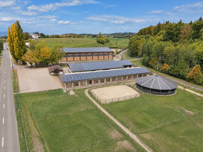 Domaine équestre d'exception avec infrastructures professionnelles (12)