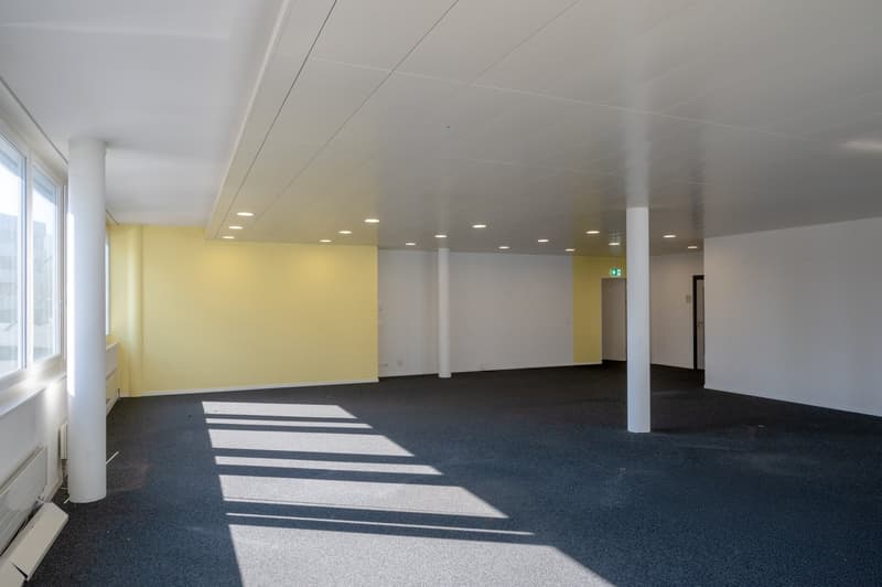 An empty room with white and yellow walls, white ceiling with built-in lights, blue carpet, and two doors.