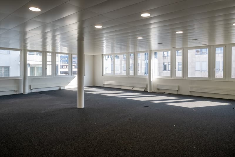 empty room with carpeted floor, white walls, high ceilings, multiple windows