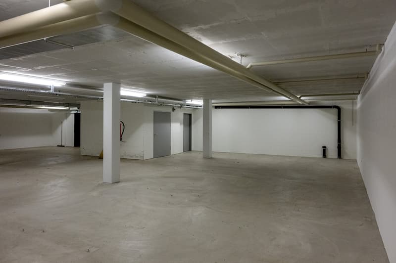 empty garage, white walls, concrete floor, white ceiling, fluorescent lighting