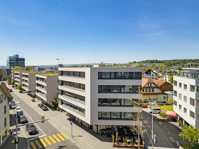 Vogelperspektive / Bird's-eye view