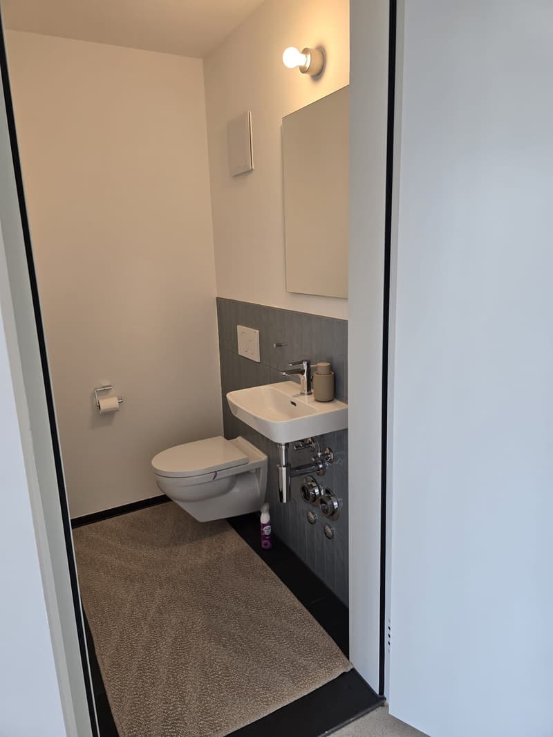 Moderne 2.5-Zimmer-Attikawohnung in Affoltern am Albis zu vermieten (9)