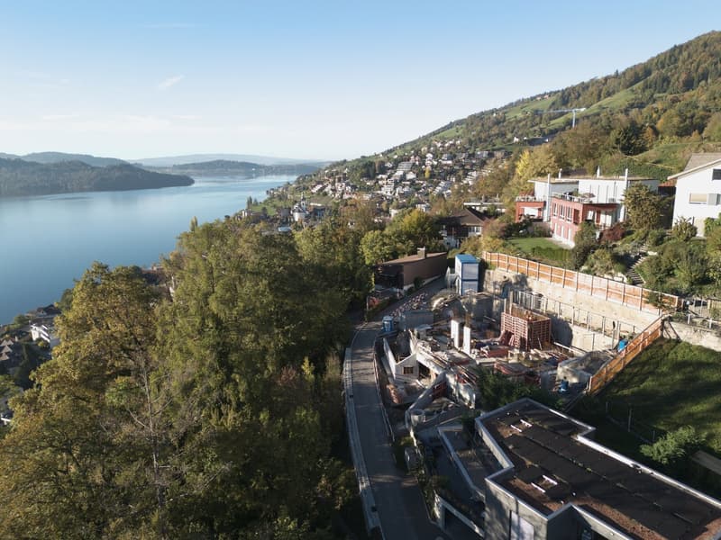Villa NIDUM – exklusives Wohnen in Walchwil (1)