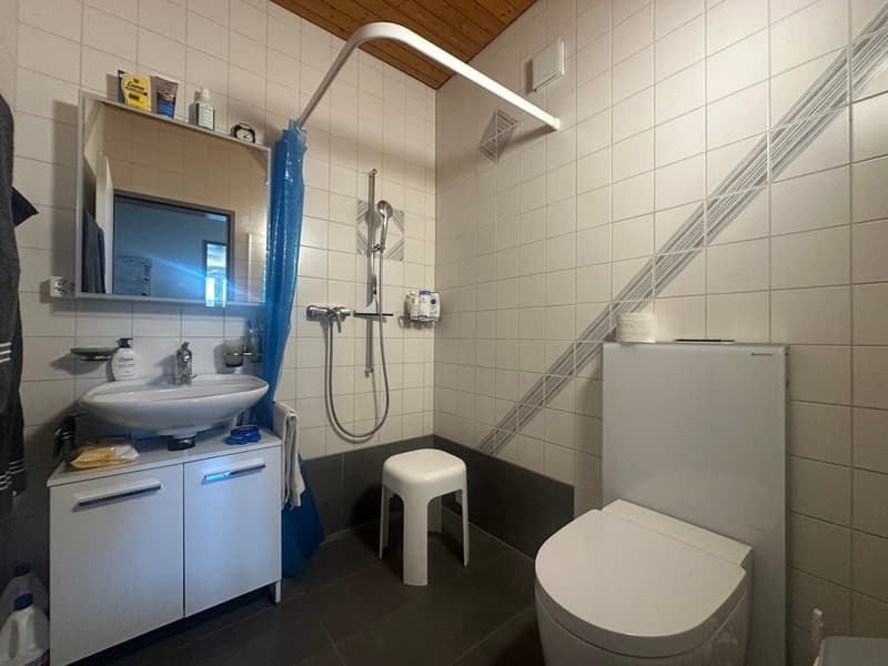 Heimelige 4.5-Zimmer-Dachwohnung mit Terrasse (5)