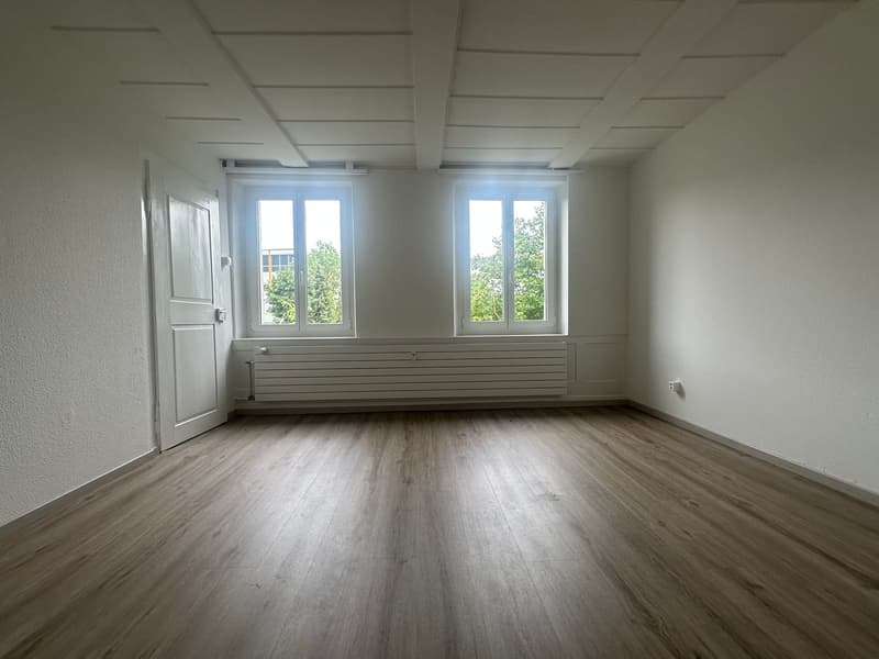 Grosszügige 6.5-Zimmer-Wohnung, ruhig und zentral (11)
