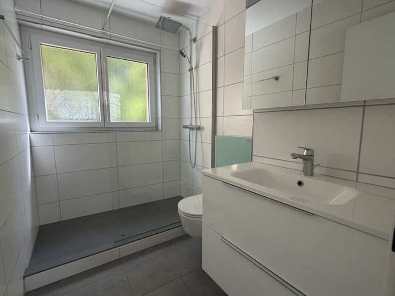MODERNES WOHNEN MIT VERGLASTEM BALKON UND BLICK INS GRÜNE (5)