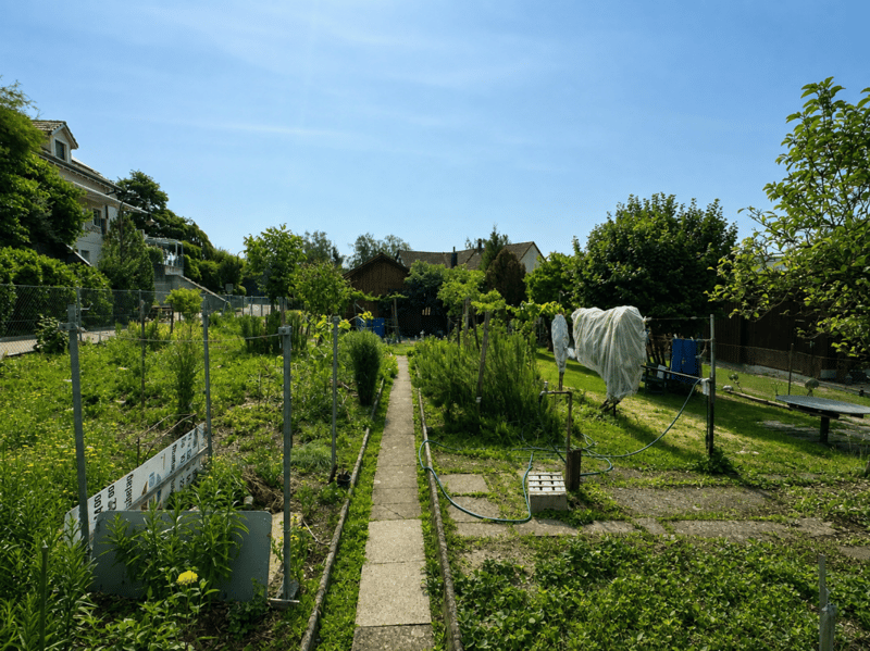 ATTRAKTIVES BAULAND AN SONNIGER LAGE (3)