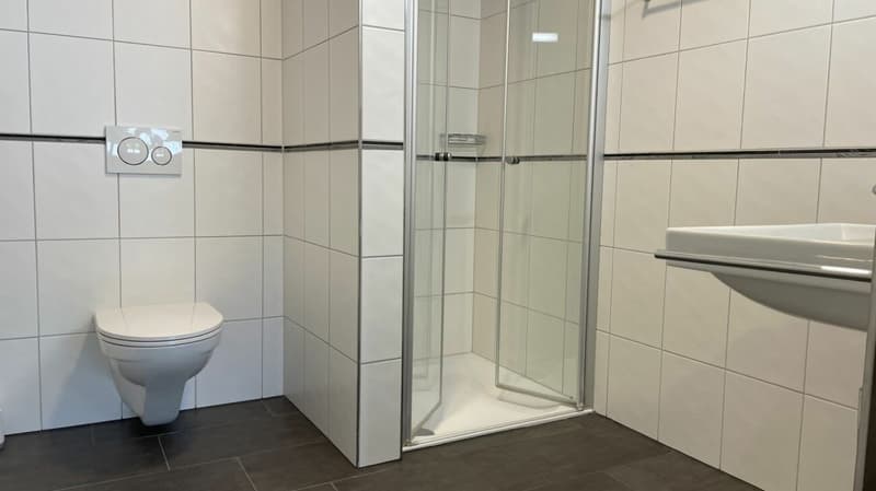 MODERNE WOHNUNG MIT GROSSER TERRASSE (4)