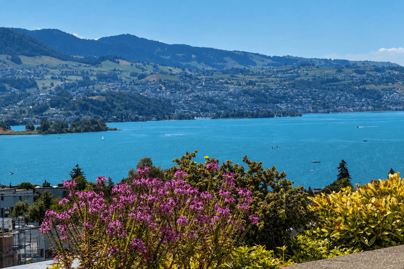UNVERBAUBARE PANORAMASICHT ÜBER DEN ZÜRICHSEE (2)
