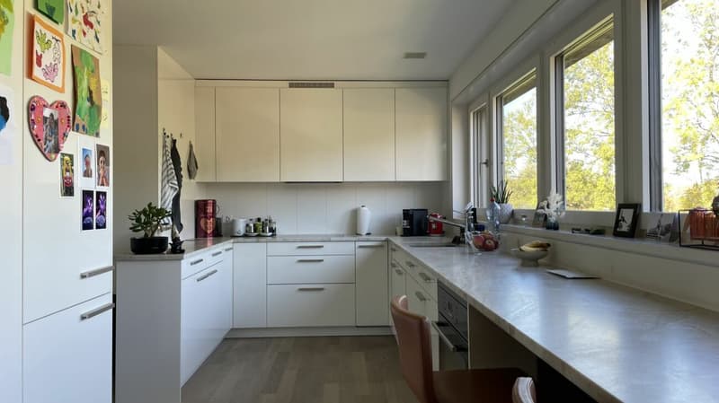 MODERNES WOHNEN ZWISCHEN STADT UND NATUR (3)