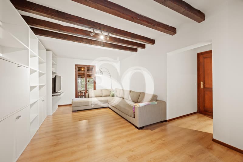 Co-Exclusivité: Belle Villa de Caractère Située à Gingins (5)