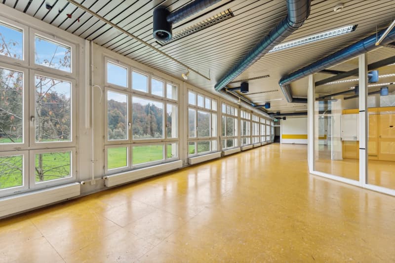 Espace de bureau et commercial attractif (625 m2) avec flexibilité maximale à Luzern-Littau (2)