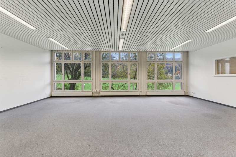 Espace de bureau et commercial attractif (625 m2) avec flexibilité maximale à Luzern-Littau (6)