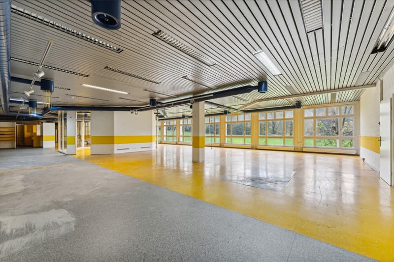 Espace de bureau et commercial attractif (625 m2) avec flexibilité maximale à Luzern-Littau (3)