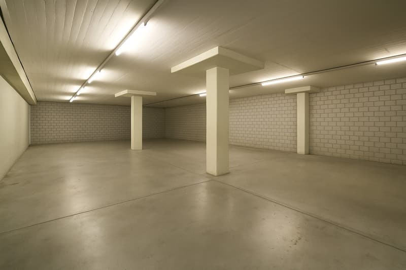 Attraktives Lager im Industriequartier Dietikon (3)