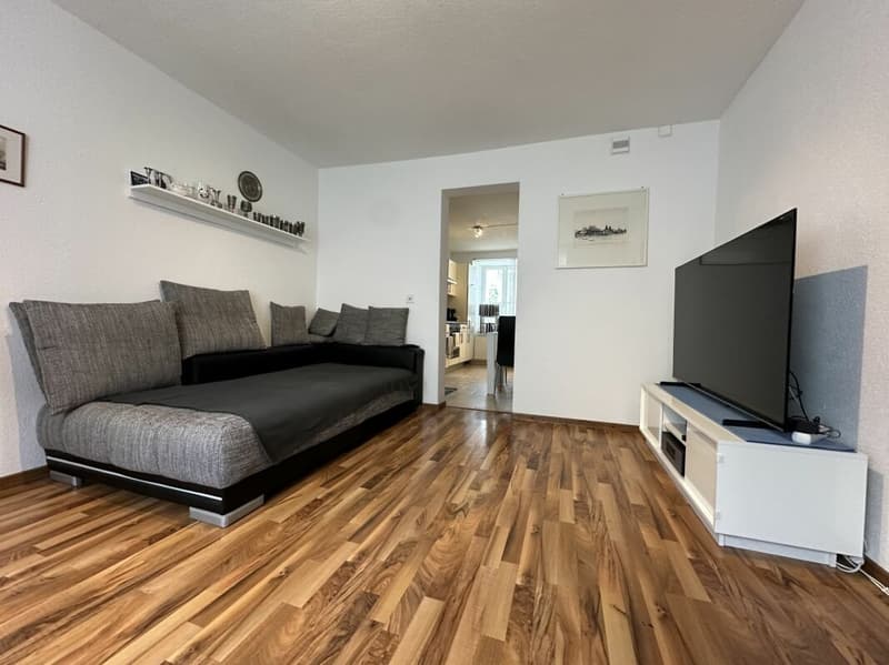 5.5 Zi. -Reiheneinfamilienhaus mit 1.5 Zi.- Einliegerwohnung (10)