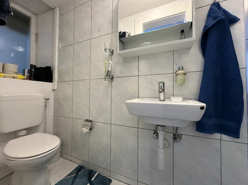 5.5 Zi. -Reiheneinfamilienhaus mit 1.5 Zi.- Einliegerwohnung (11)