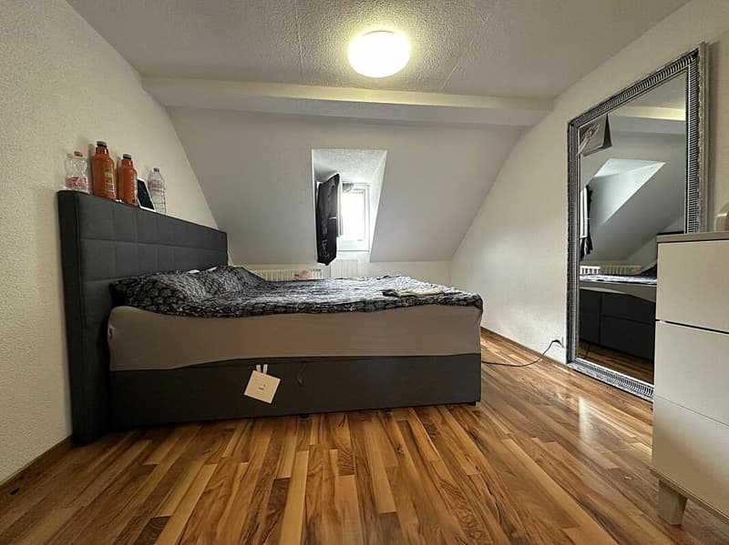 5.5 Zi. -Reiheneinfamilienhaus mit 1.5 Zi.- Einliegerwohnung (5)