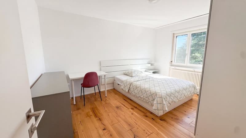 RENOVIERT & VOLL VERMIETET (2)