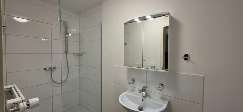 ALTSTADT-PERLE IN ZOFINGEN - RENDITESTARK 4% AN TOP-LAGE! (8)