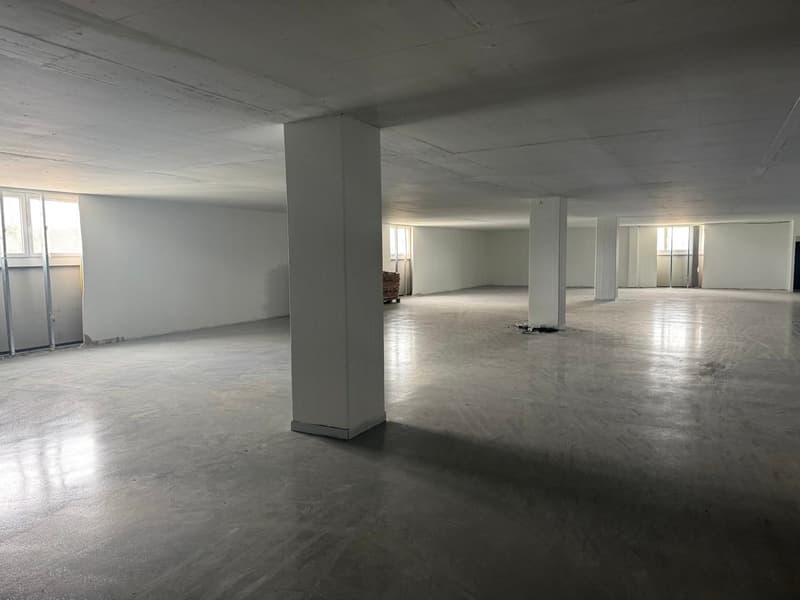 Attraktive Gewerbe- und Lagerflächen in Volketswil – Top Lage nahe A53 (4)