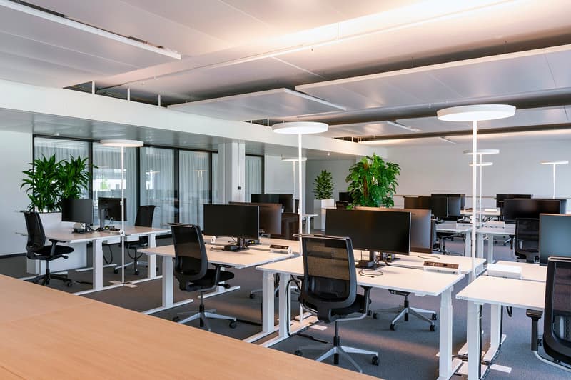 Bezugsbereite Bürofläche mit hochwertigem Mieterausbau und zwei Terrassen (3)